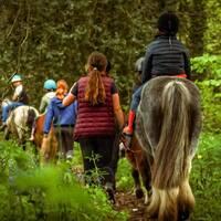 Programme vacances  Toussaint