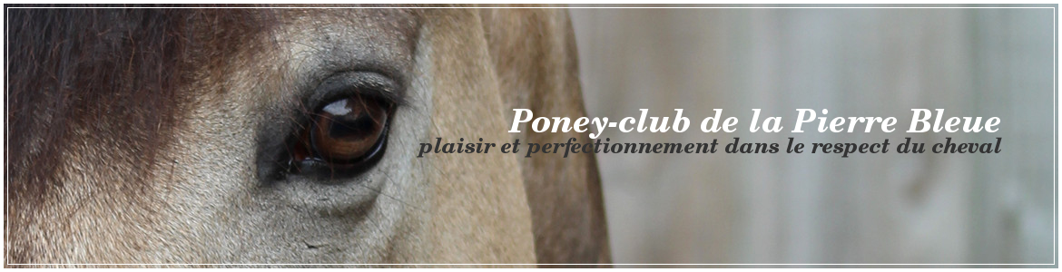 Poney-club de la Pierre Bleue